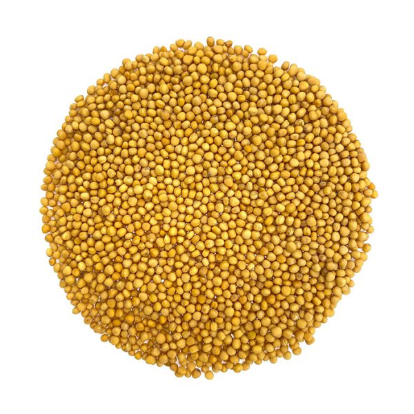 Hạt Yellow Rai (500g)